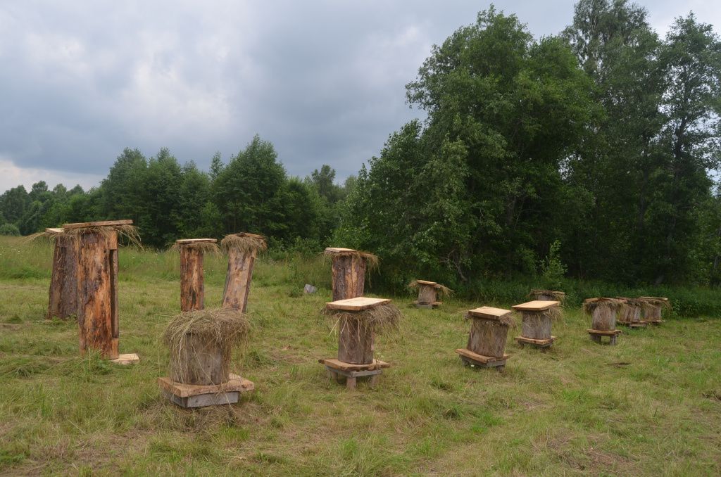 Так выглядит колодная пасека.JPG