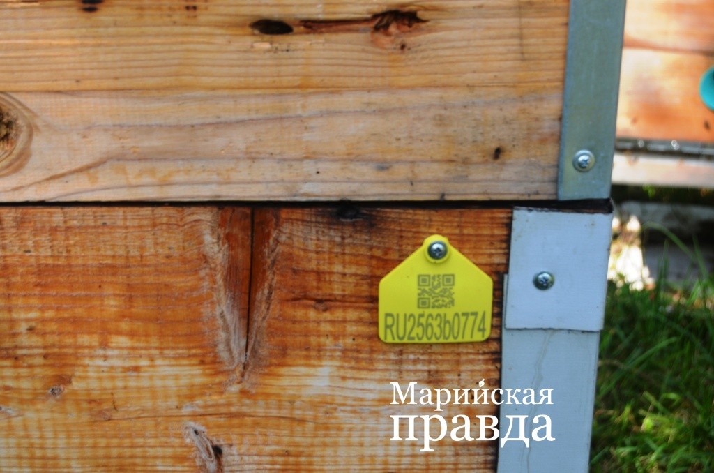Такие бирки с информацией висят теперь не только на ушах коров, но и на ульях 1.jpg