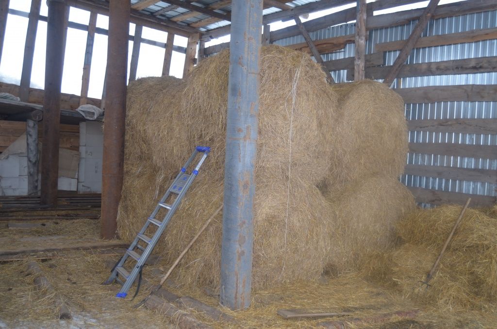 Запас сена нынче победнее, чем обычно.JPG