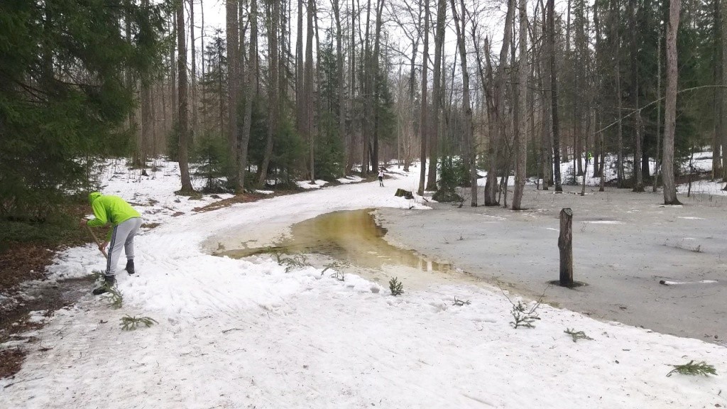 photo1680347736 (2).jpeg