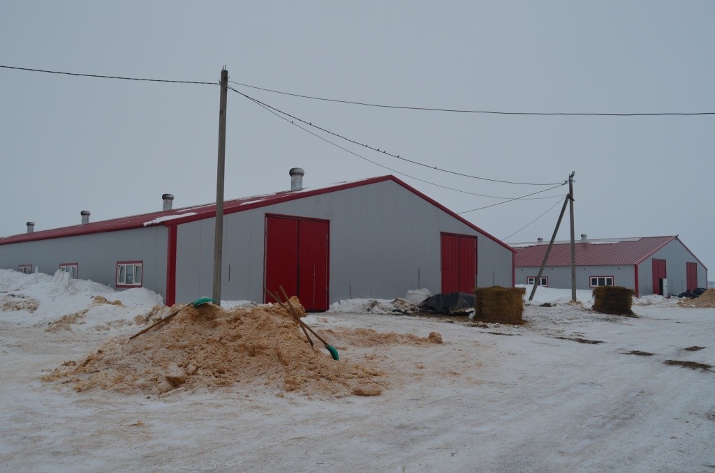 Новые фермы как близнецы-братья.JPG