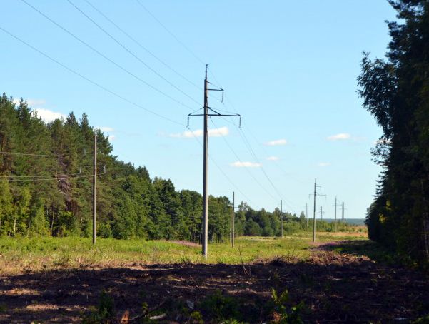 Расширение просек.jpg