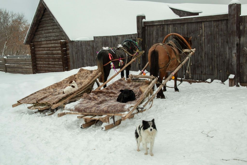 Катания на санях.jpg IMG_2053.jpg