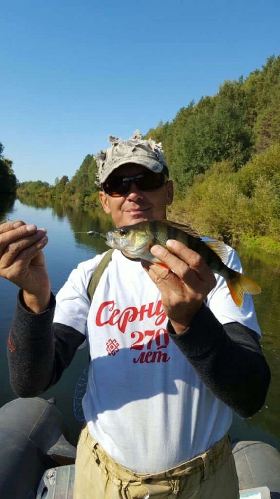 Хорошие окуни и клюют хорошо