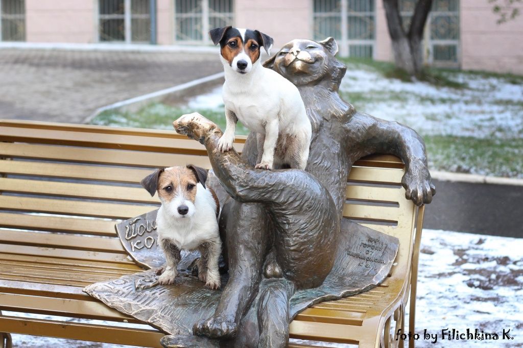 В гостях у Йошкина кота.jpg