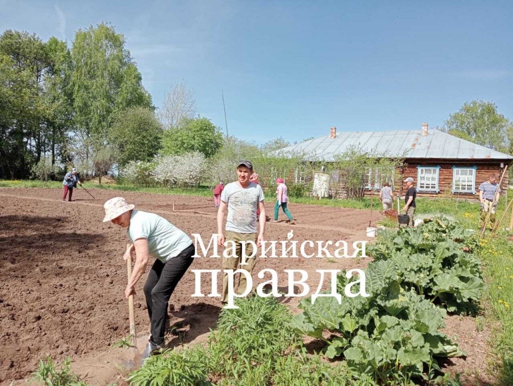 На помощь учителям и воспитателям в посадочный день пришли родители..jpg