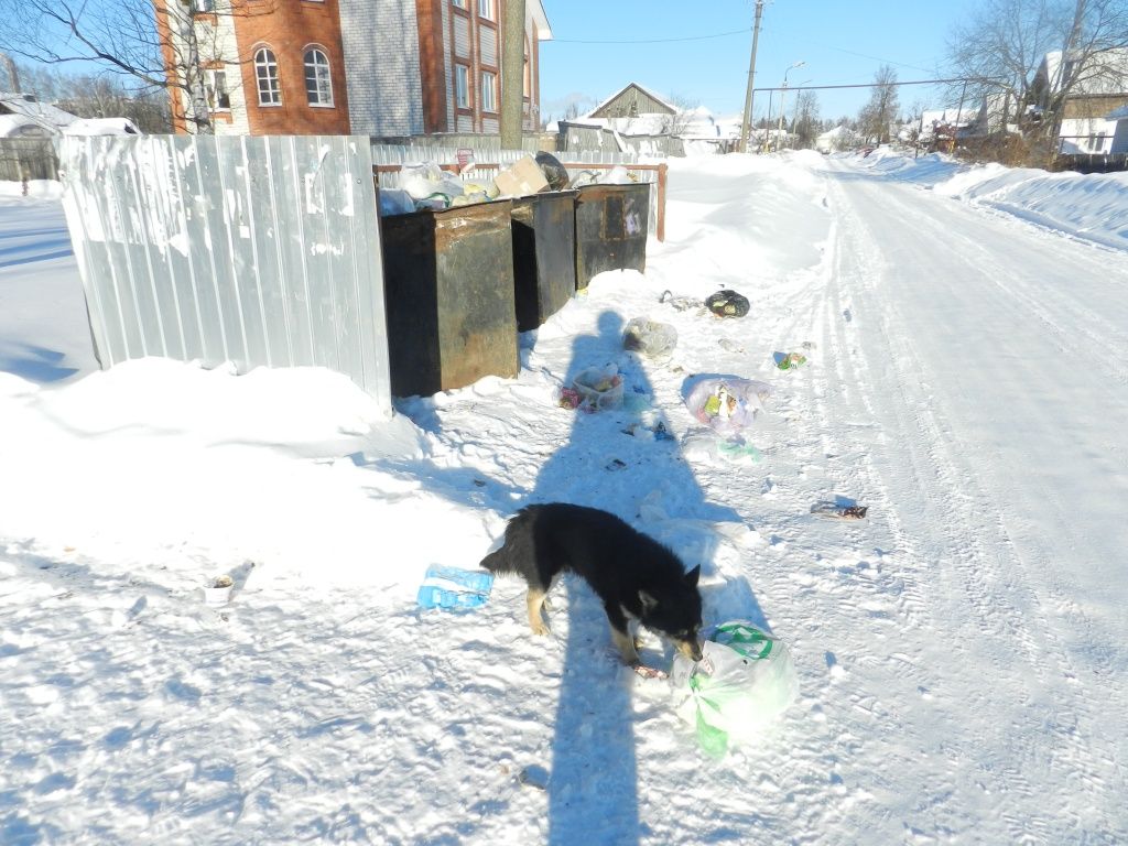 поселок Советский 