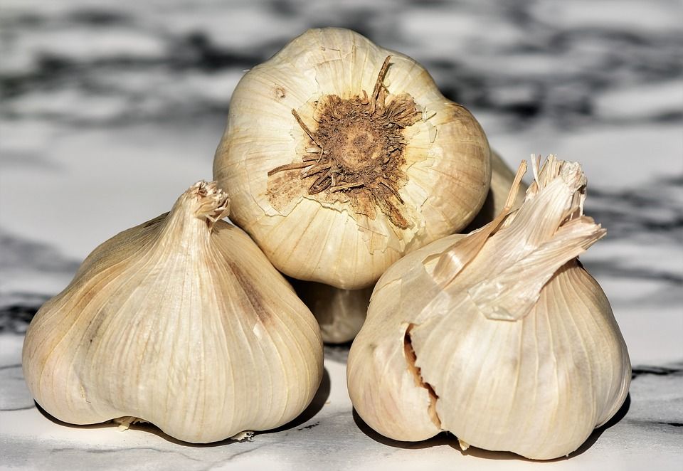 garlic-3540795_960_720.jpg