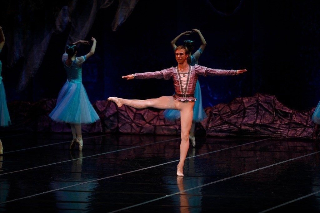 Лебединое озеро. Шут-Наставник Принца - Роман Стариков.jpg