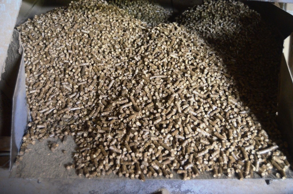 Вкусняшки на выходе. Вкусняшки на выходе.jpg