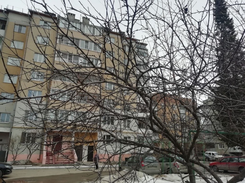 В Йошкар-Оле Владимир Петрович возглавил ТСЖ, названное в честь символа космодрома - тюльпана. photo_2021-04-08_18-31-08.jpg