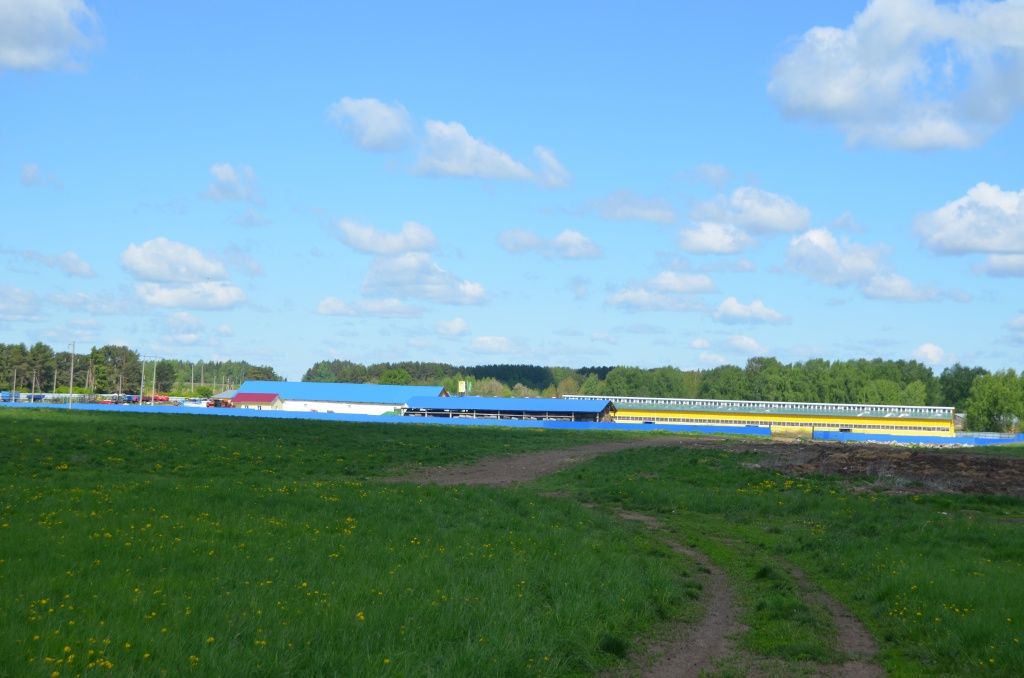 Ферма в Мари-Шолнере - взгляд со стороны.JPG
