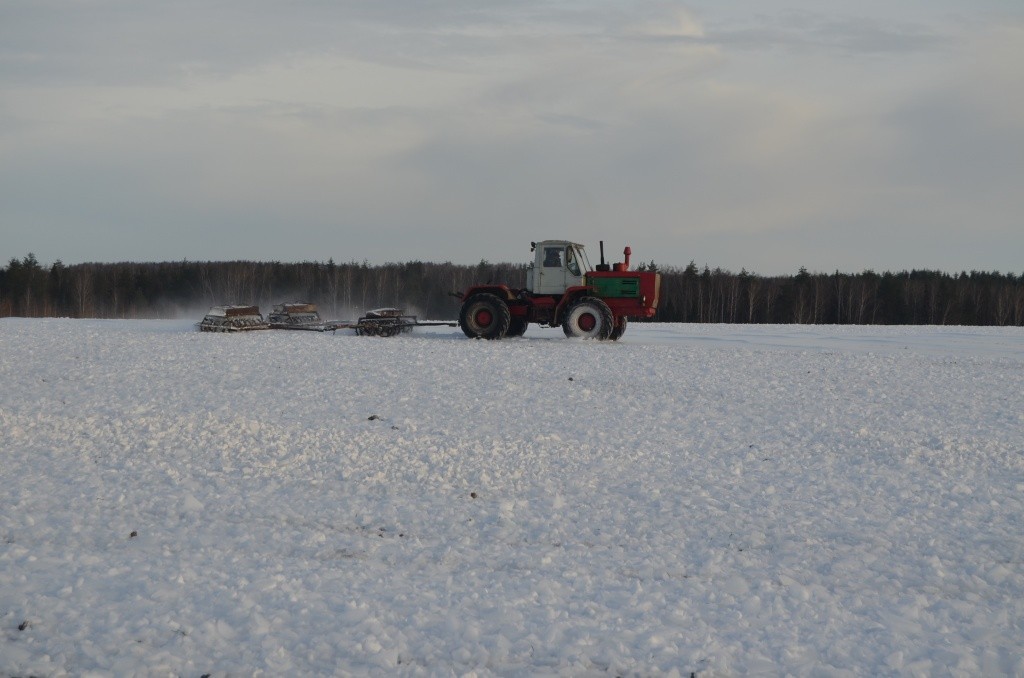 Бывают годы, когда наст - твердую ледяную корку приходится разрушать.JPG
