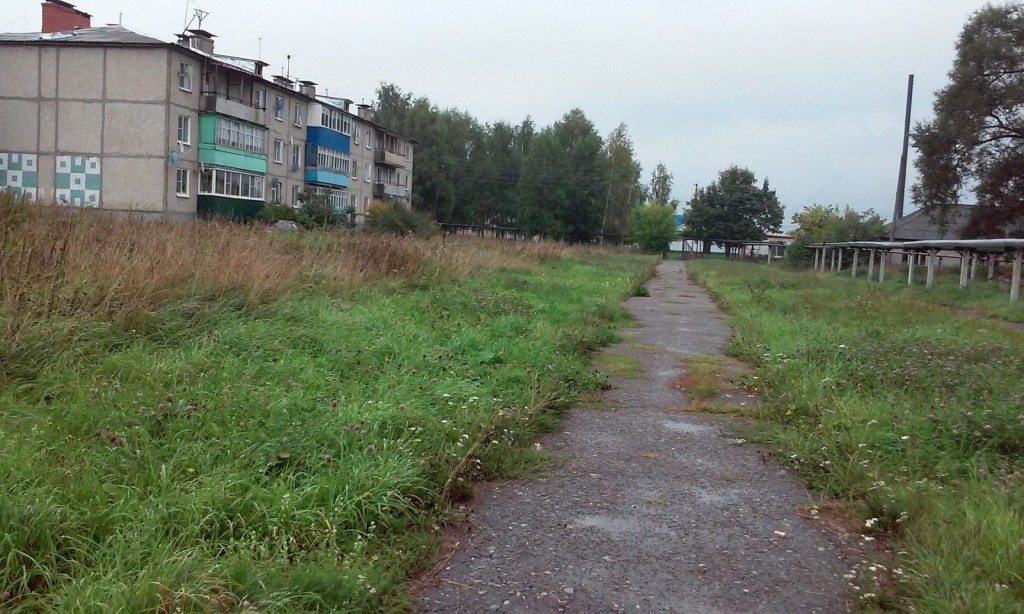 Детская площадка в д. Михайловка_до реализации проекта.JPG