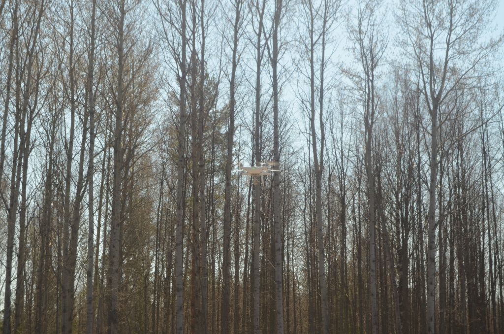 Над вырубкой, пугая птиц, летал дрон.JPG