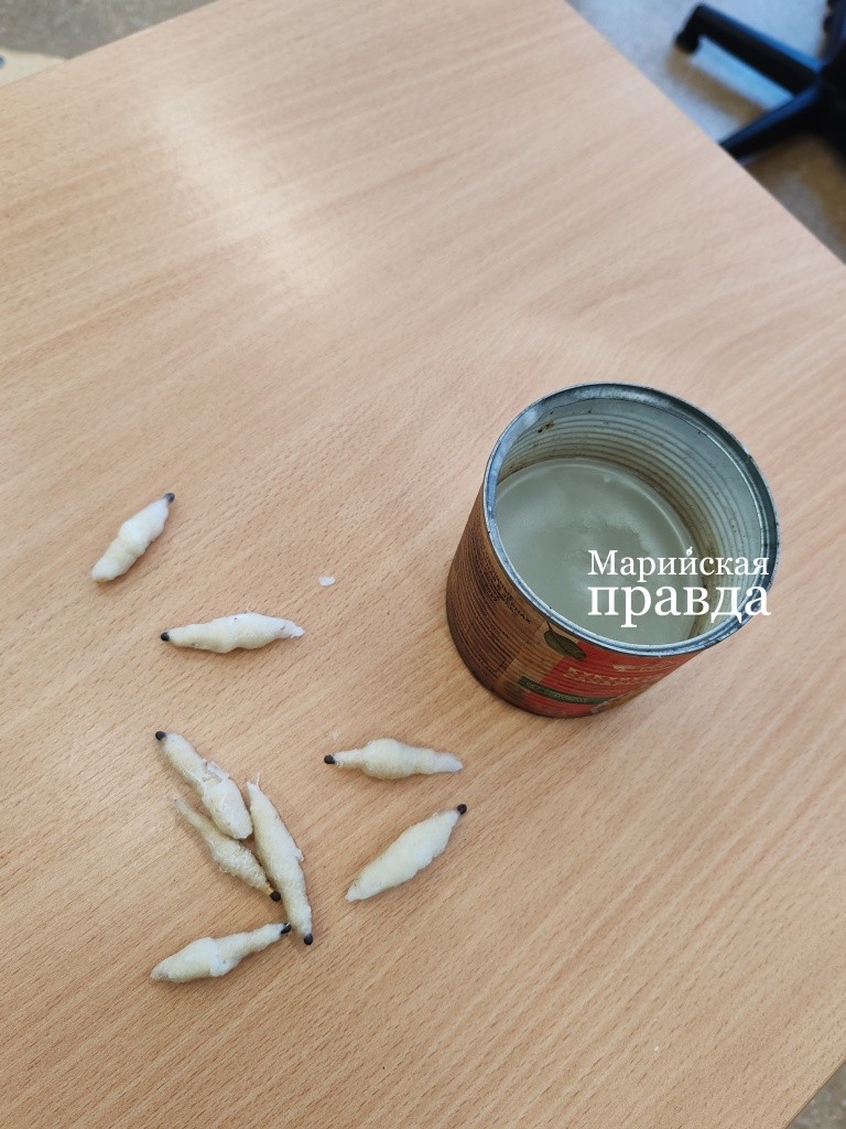 На вид спички-свечки неказисты, но очень эффективны при разжигании костра 1.jpg