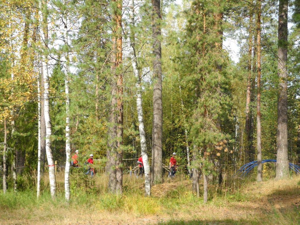 Не прогулка, а состязания. (Фото Натальи Кулишовой).