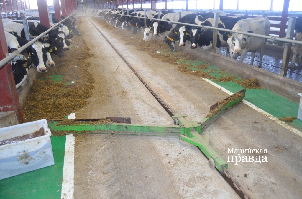 Эта штука экономит у людей масссу времени - она подгребает винегрет поближе к кормовому столу. Эта штука экономит у людей масссу времени - она подгребает винегрет поближе к кормовому столу..jpg