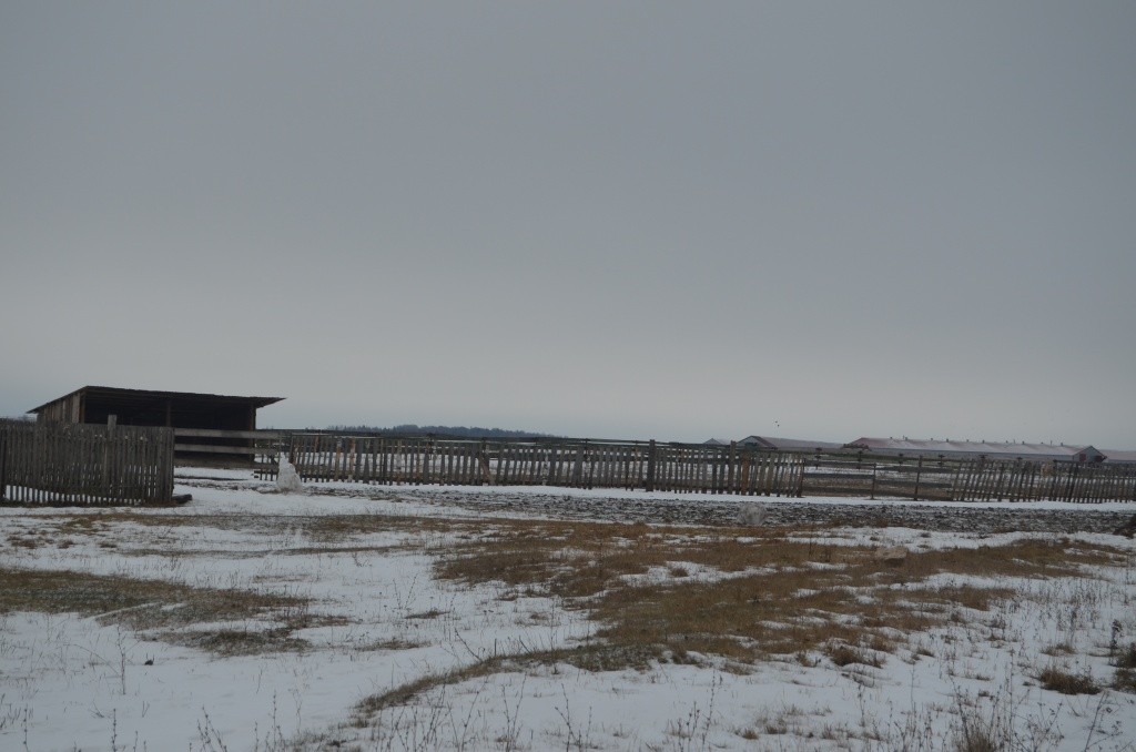 В этом просторном загоне летом пасется домашняя скотина.jpg