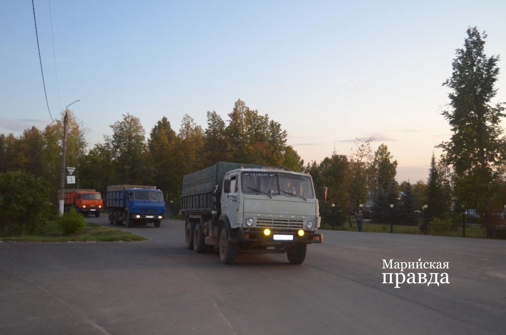 Замыкали колонну КАМАЗы. занятые на транспортировке зерна..jpg