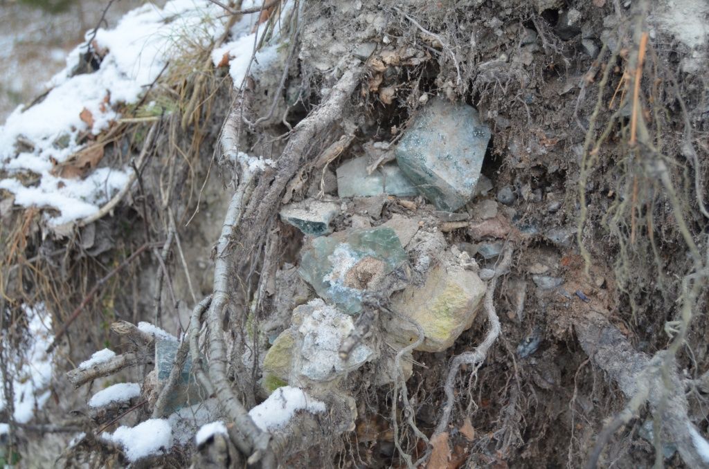 В корнях упавшей березы мы обнаружили целые россыпи стекольных изумрудов.JPG