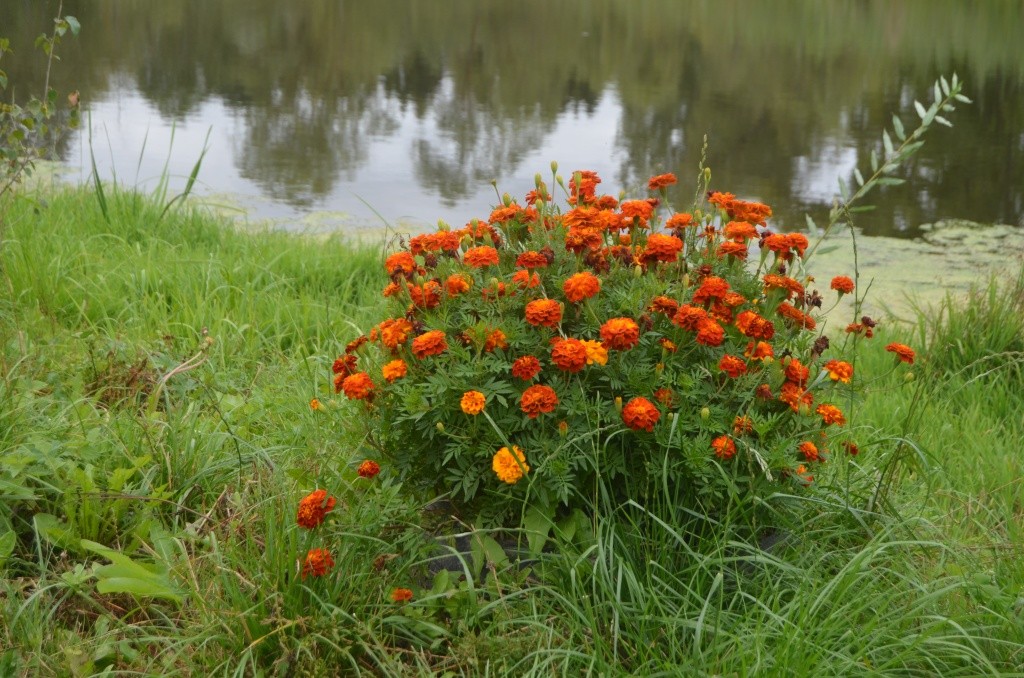 Согласитесь, красиво.JPG