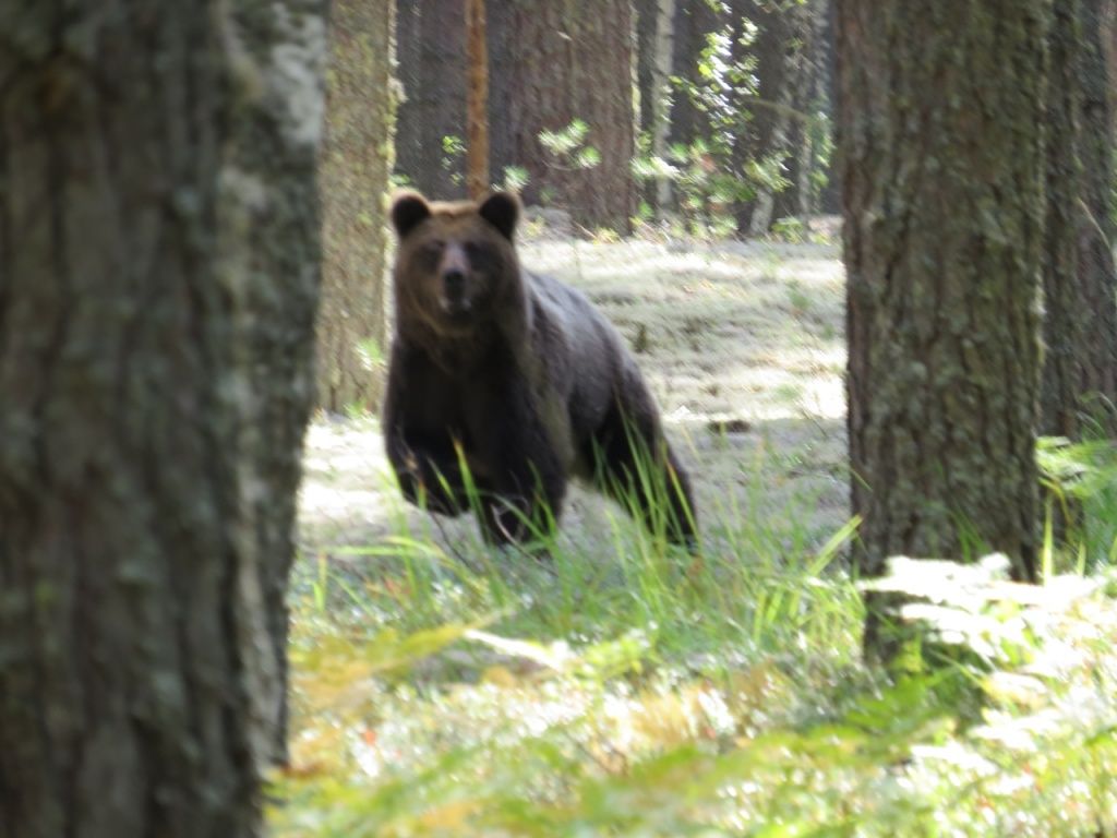 Фото Геннадия Богданова