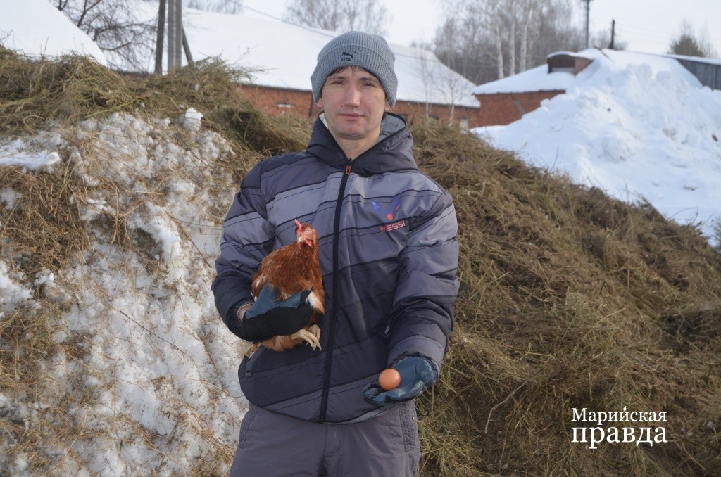 Яйца сейчас не простые, а золотые, говорит Руслан, но сам он реализует продукцию на треть ниже среднерыночной цены..jpg