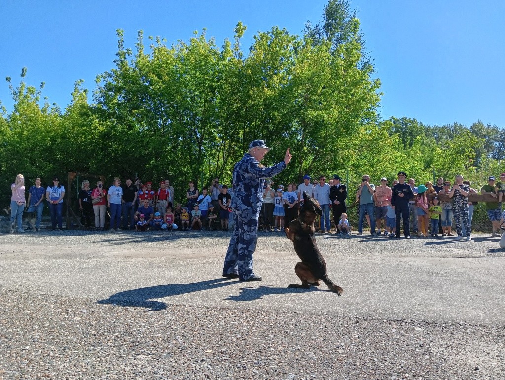 День Фронтовой собаки.