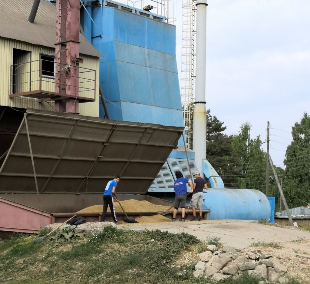 Работа на зернотоку для старшеклассников это хорошая возможность заработать.jpg