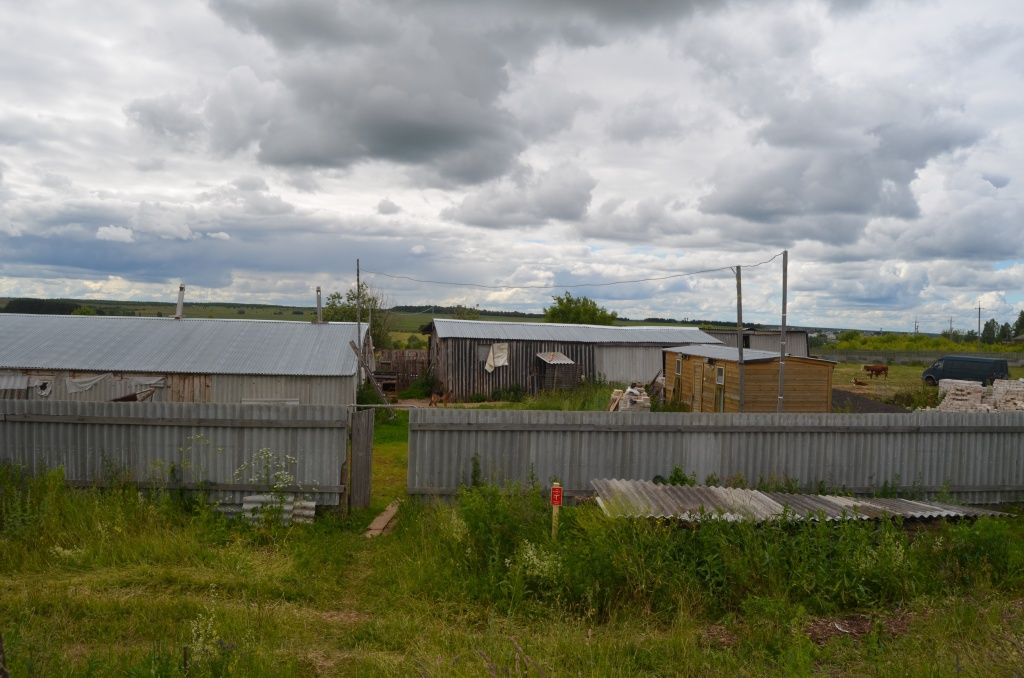 Здесь Данил выращивает овец и крупный рогатый скот, завел прудик .JPG