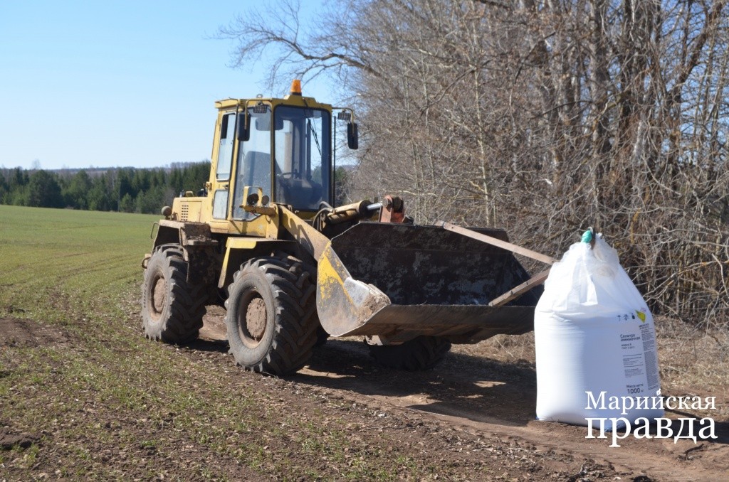 Очередной мешок аммиачной селитры готов к погрузке..jpg
