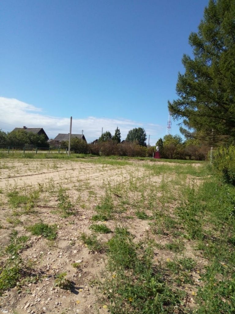 Фото №2 Марьино.jpg