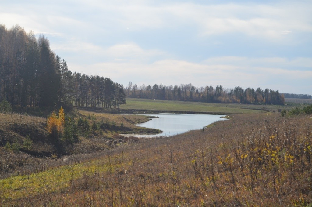 Всего один ключ дает жизнь целому пруду.JPG