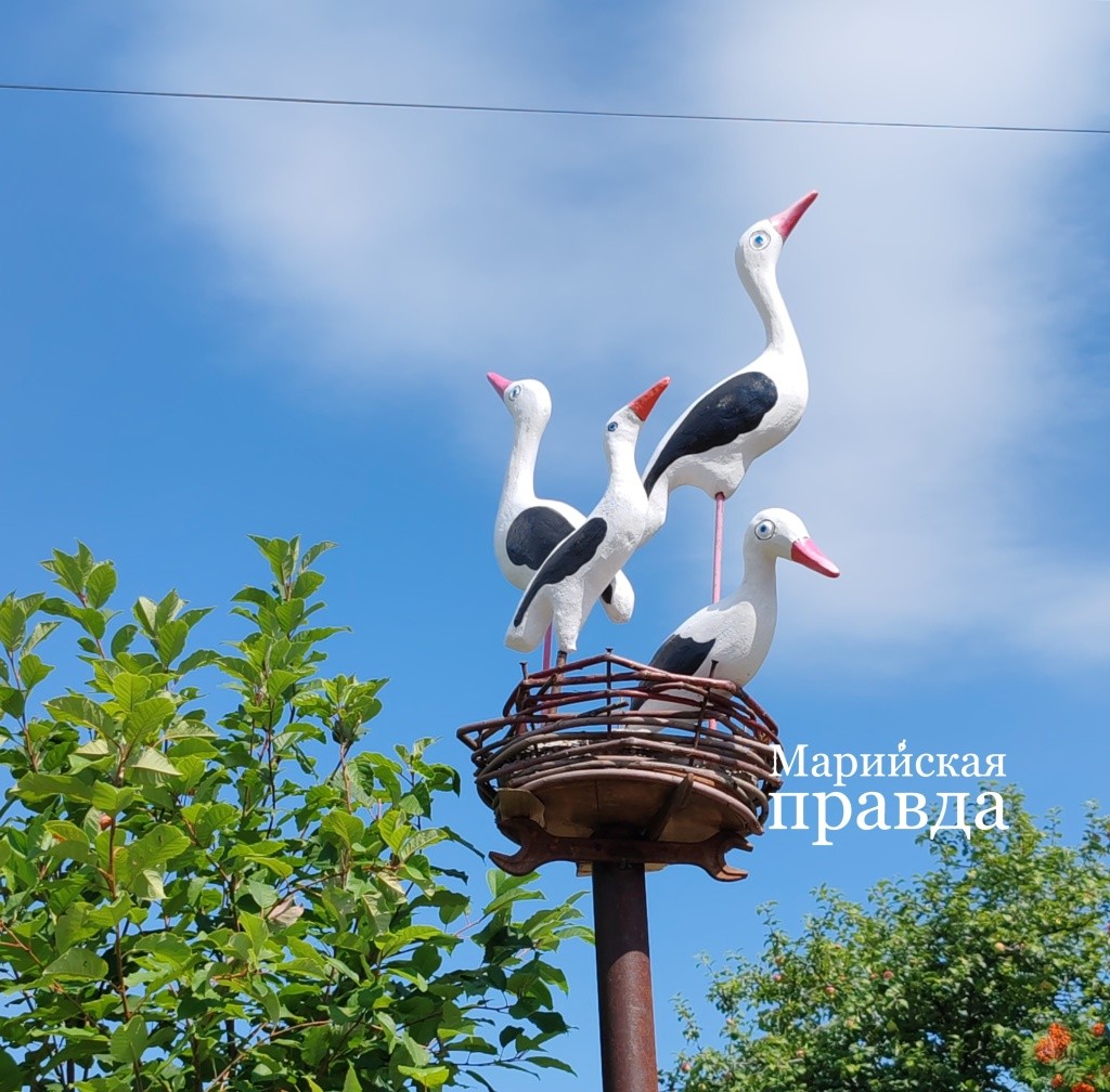 Гнездо с семейством аистов. Гнездо с семейством аистов 1.jpg