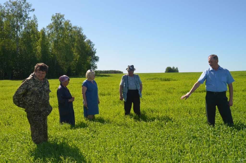 Всходы отменные, теперь лишь бы погода не подвела.JPG