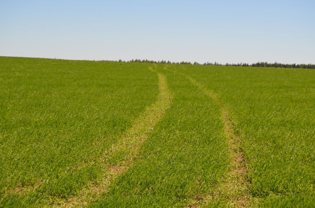 Это следы установки для обработки посевов от вредителей и болезней.JPG