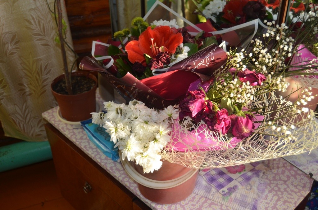 Цветы греют душу даже столетней женщине. Цветы греют душу даже столетней женщине.jpg