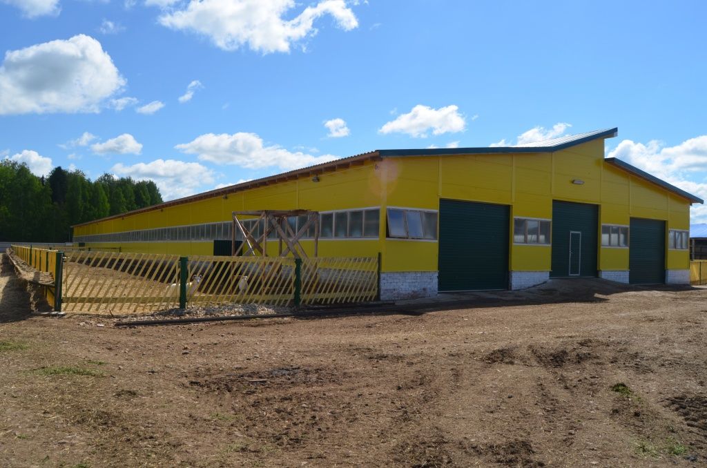 Всее новые фермы выдержаны в фирменном желто-зеленом цвете.JPG