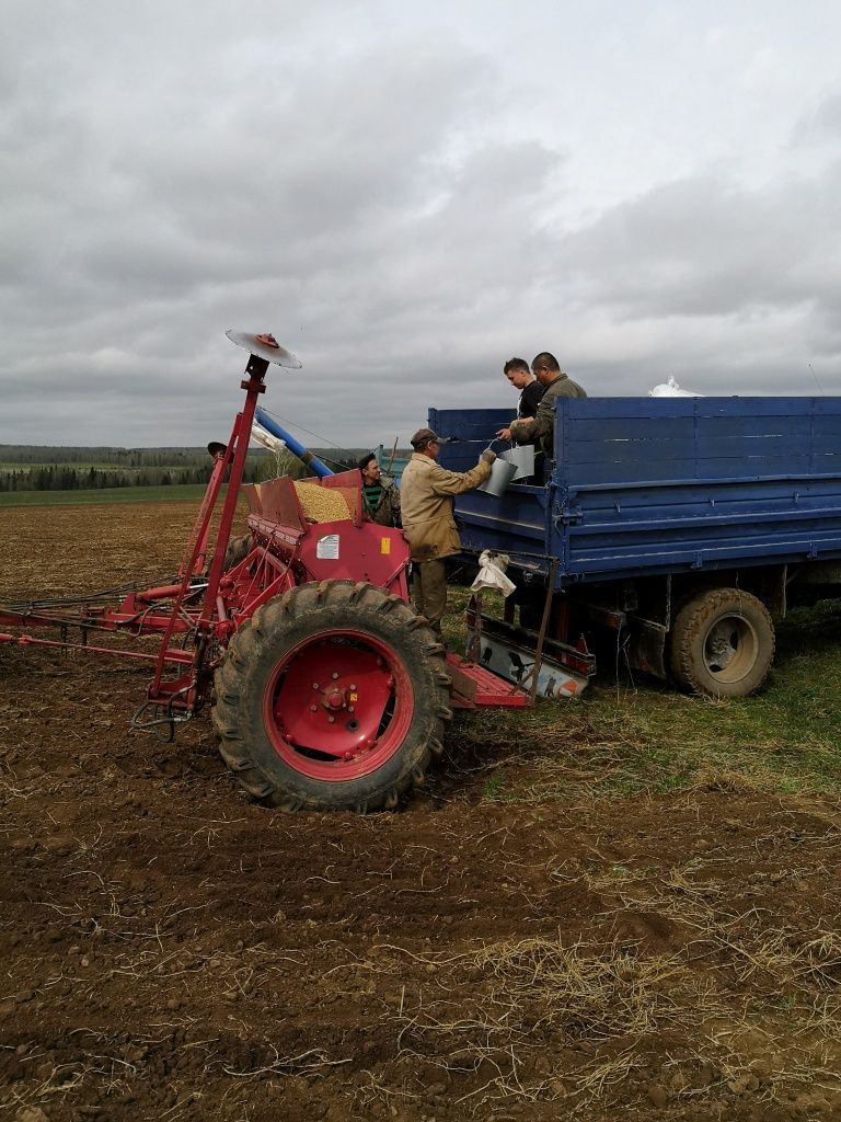 Бункера сеялки засыпают не только семенами, но и минеральными удобрениями.jpg