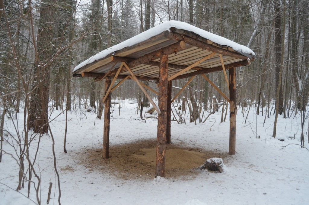 Примерно так выглядит стандартная кормушка для кабанов.jpg