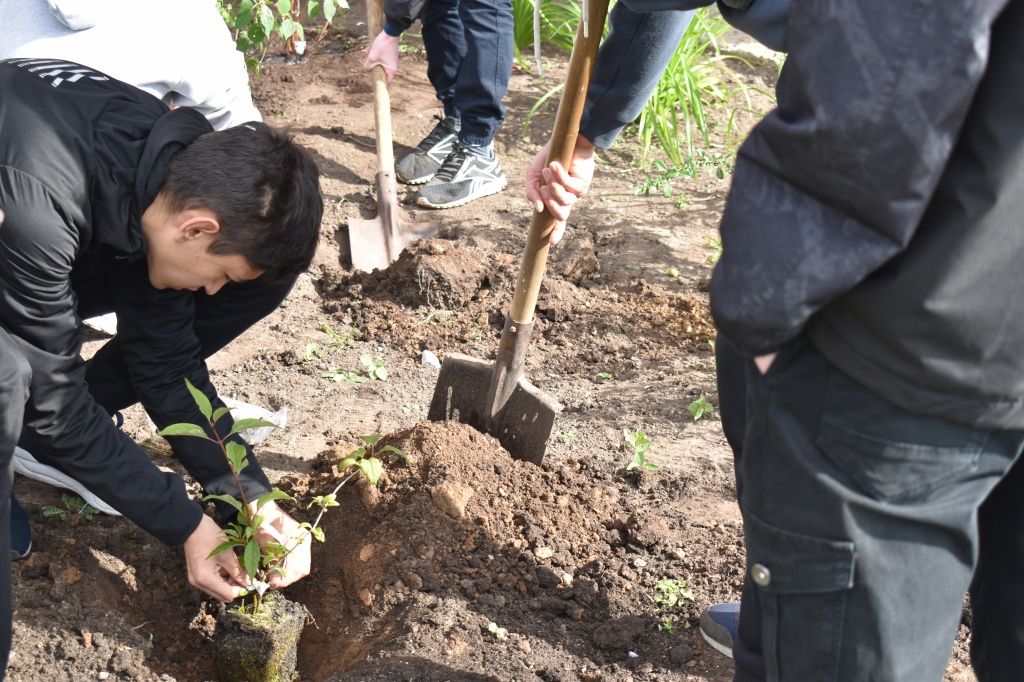 Вместе работать всегда в радость! (Фото предоставлено центром "Доверие").