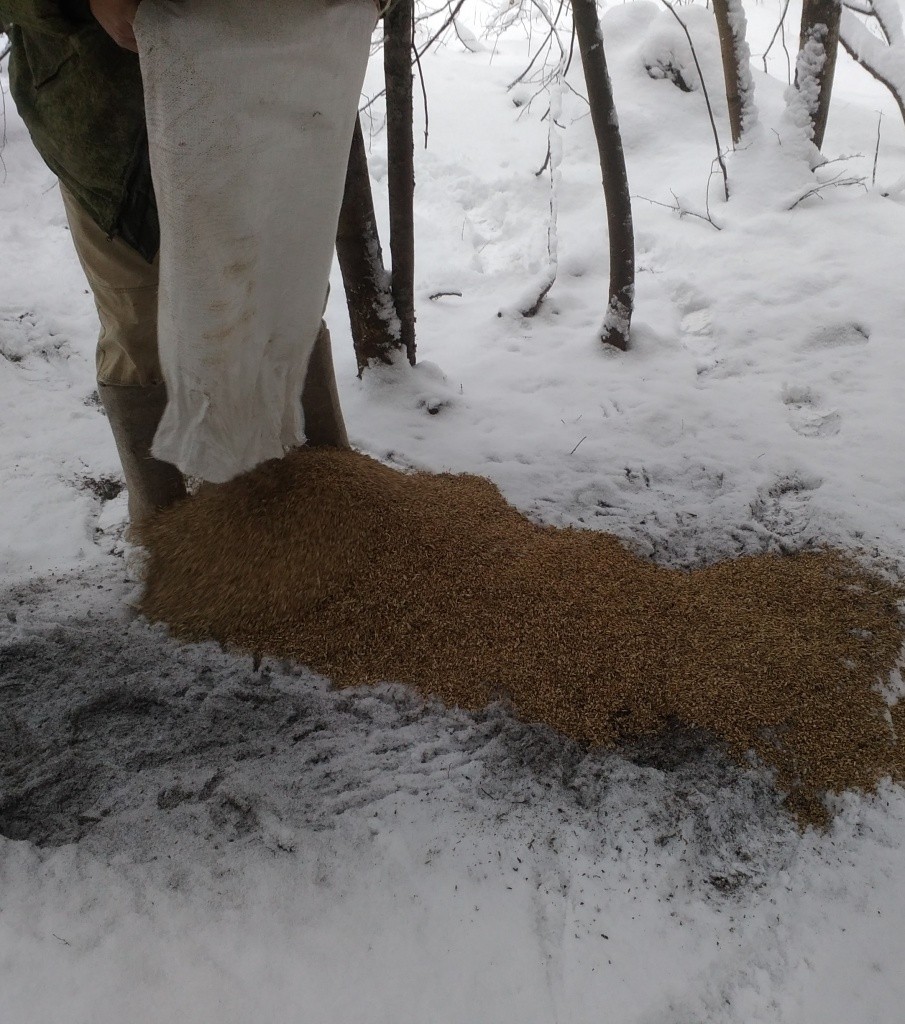 Судя по следам на снегу, пернатые тоже заглядывают сюда в гости.jpg
