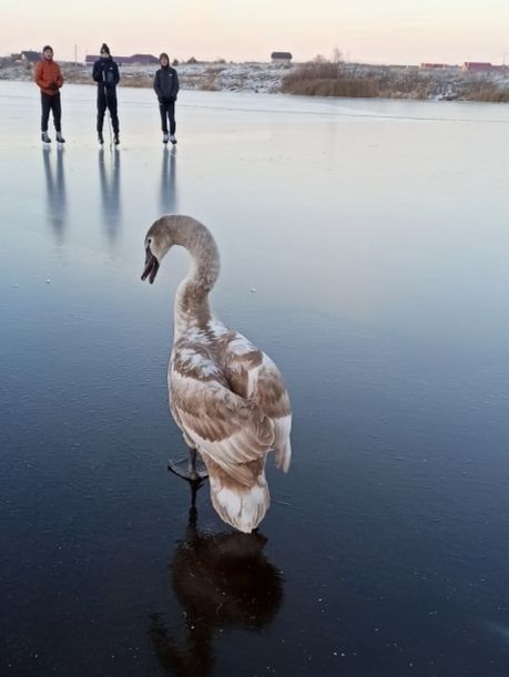 Фото Данила Сотникова