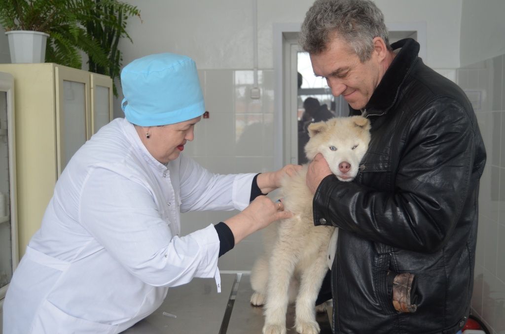 Настоящие мужчины уколов не боятся.JPG