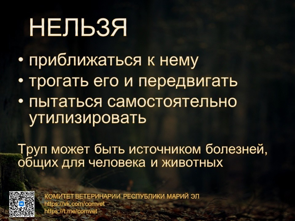 ачс2.jpg ачс2.jpg