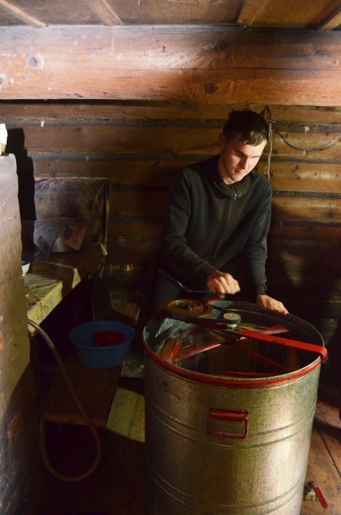 Несмотря на нападения пчел, Максим добросовестно крутит медогонку.JPG