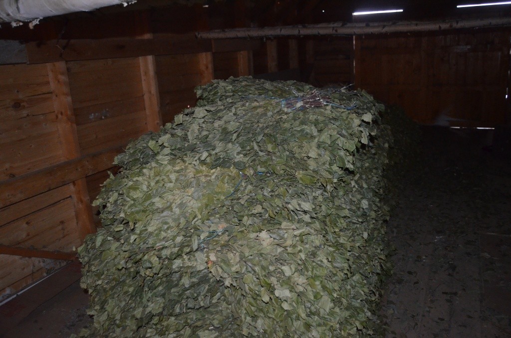 Склад за зиму заметно опустел, но кое-что еще осталось.jpg