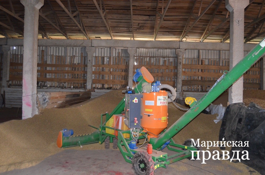 Протравливание семян хорошая возможность позаботиться об их здоровье 1.jpg