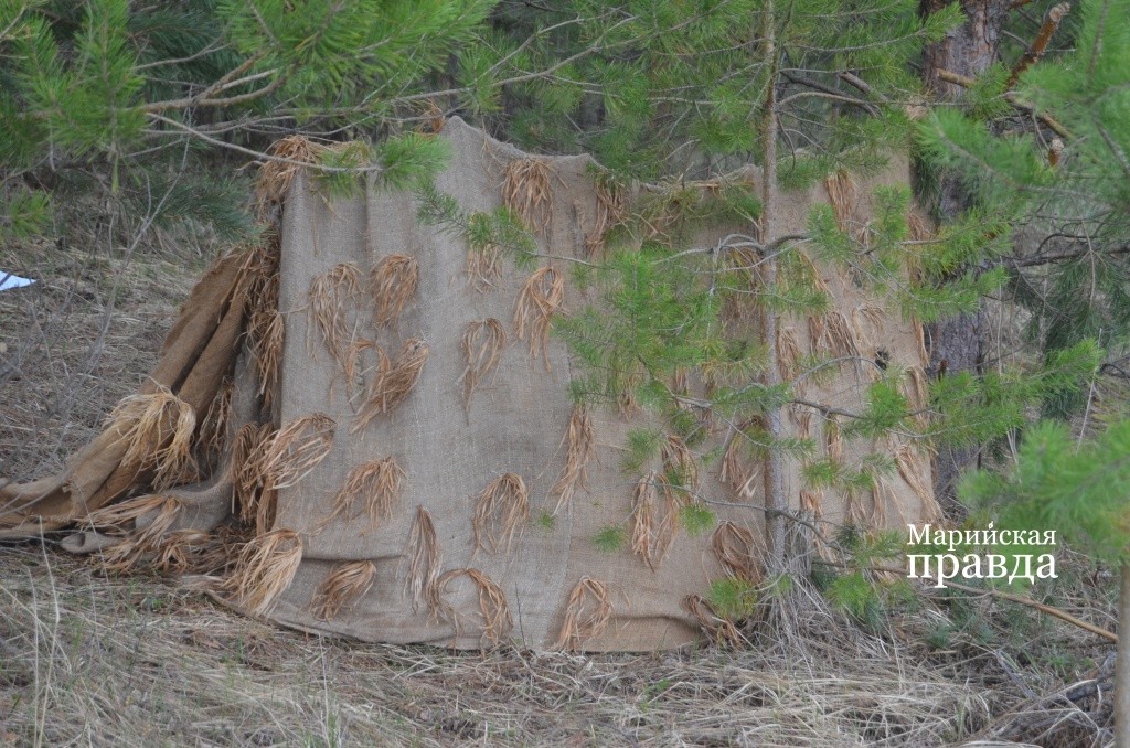 А это и есть скрадок, за которым прячется охотник..jpg
